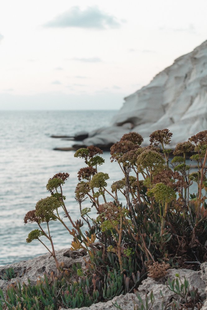 Photograph by Евгения Журавлёва