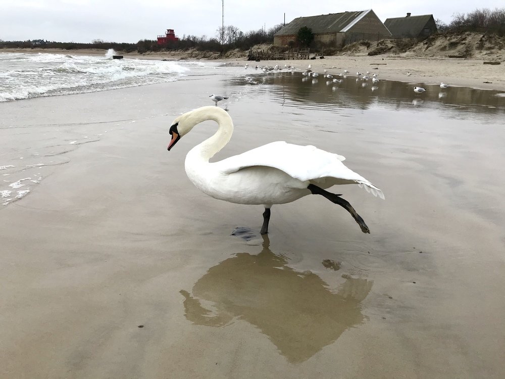 Photograph by Galina Baranovskaja