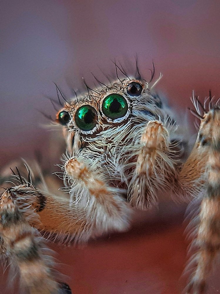 Photograph by Janati Zohreh