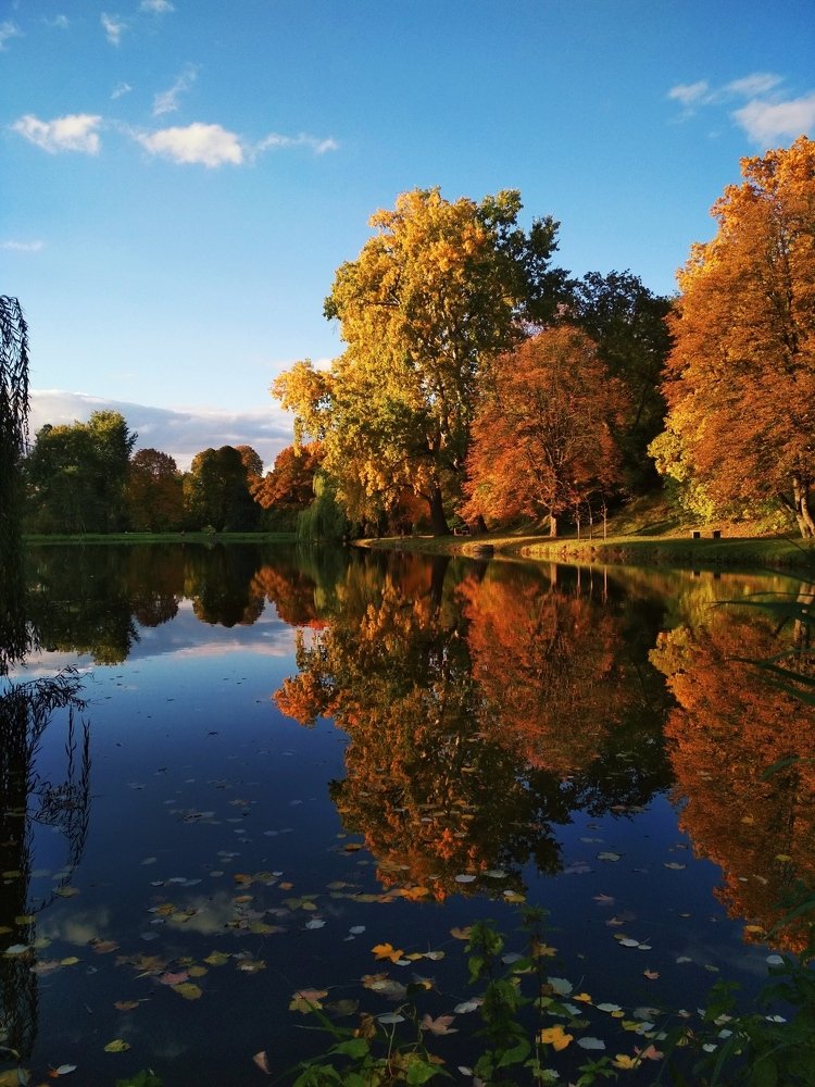 Отражение природной сказки