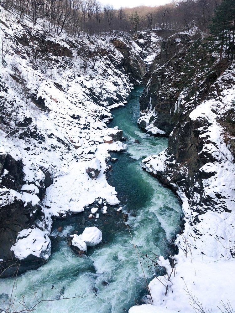 Photograph by Надежда