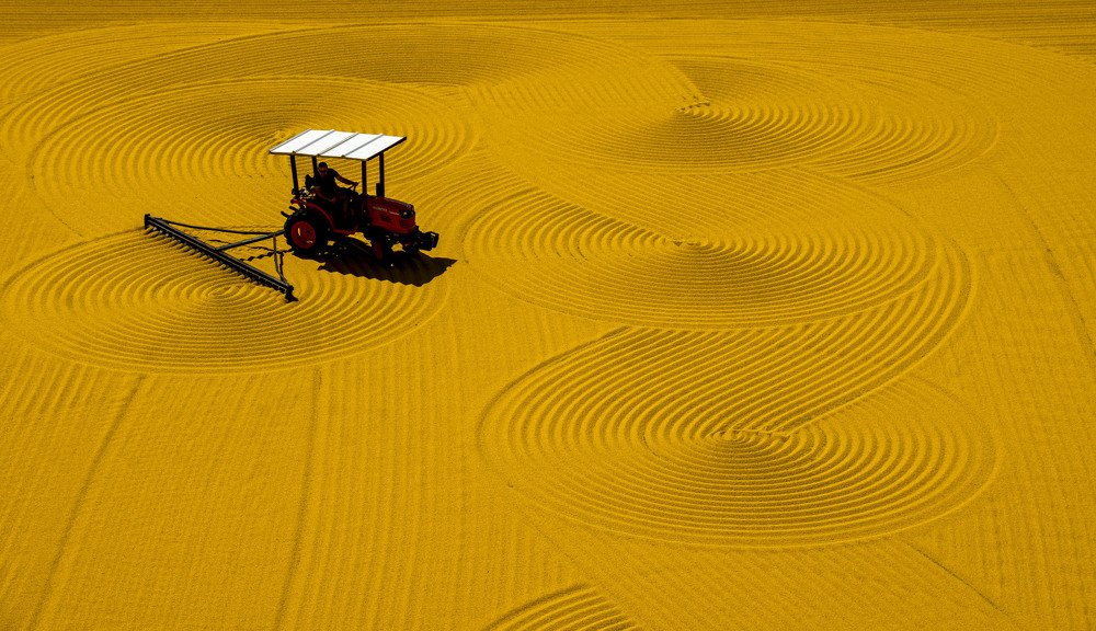 Photograph by Cem Yakal