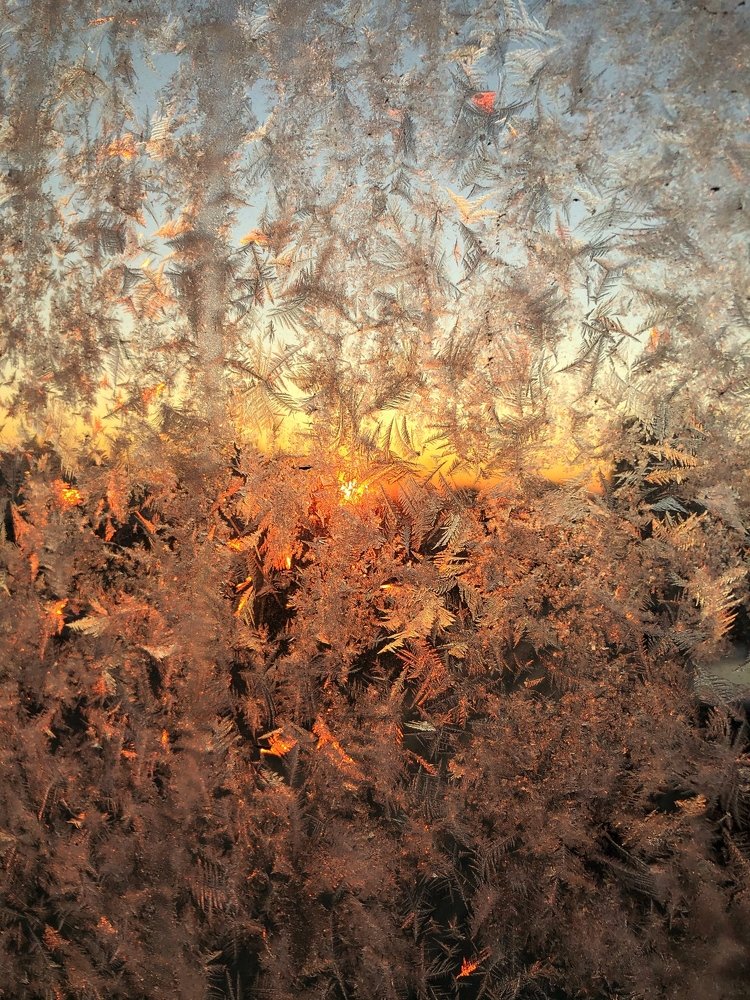 Photograph by Артём Бочкарёв