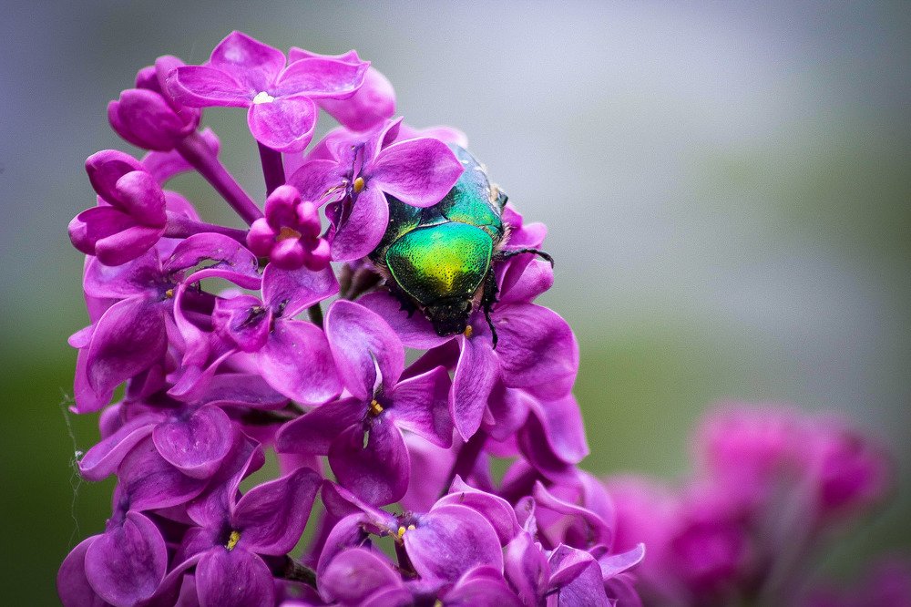 Photograph by Андрей Потапов