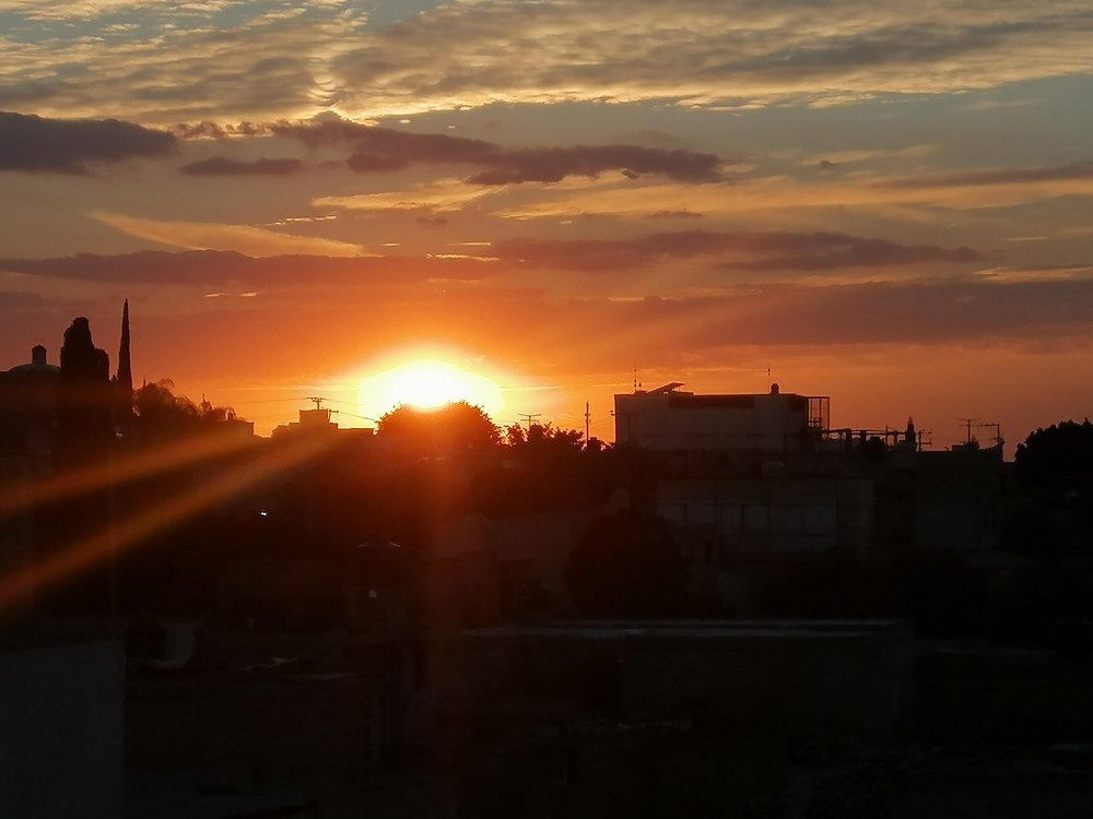 Photo #4466410