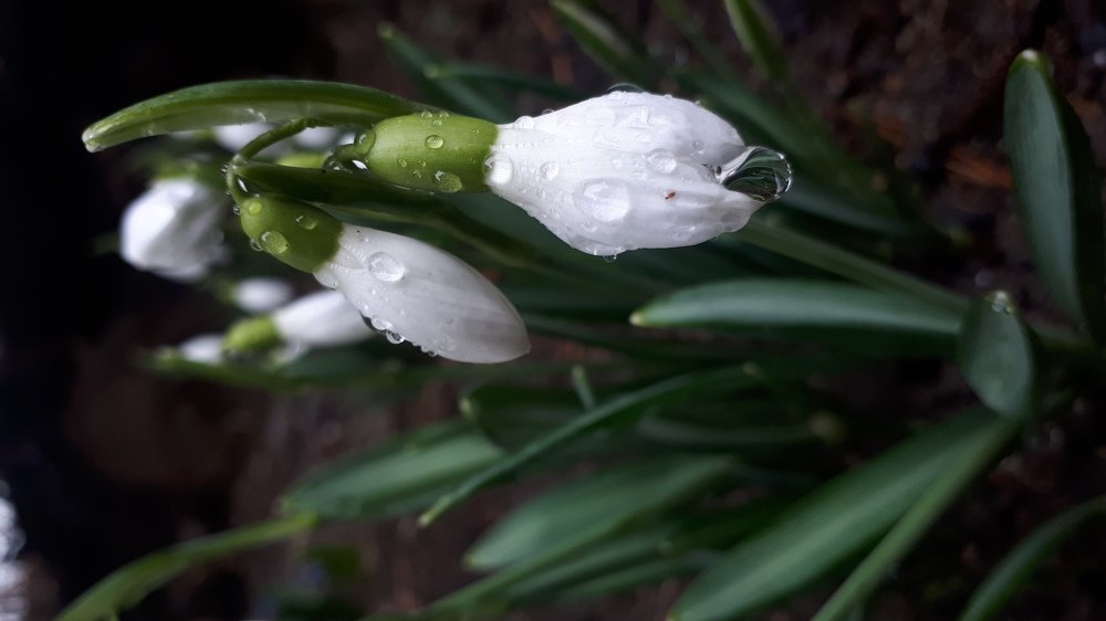 После дождя...