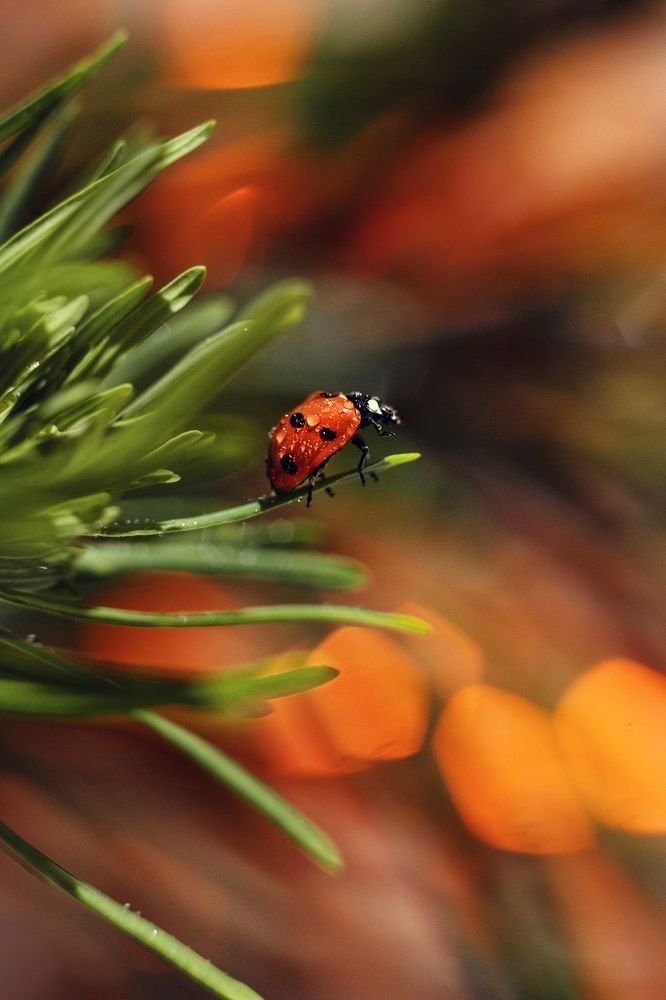 Photograph by Руслана Валеева