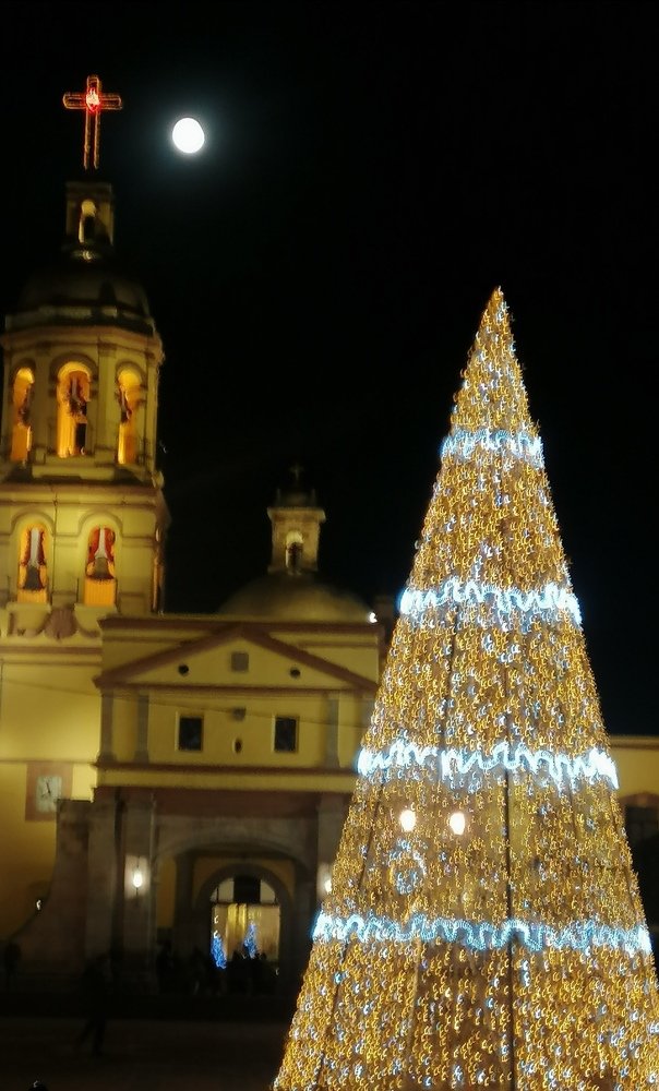 Photo #4466507