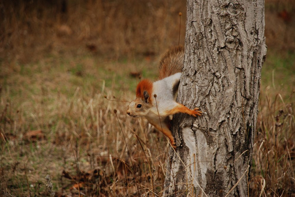 Photograph by Александра Матвеева