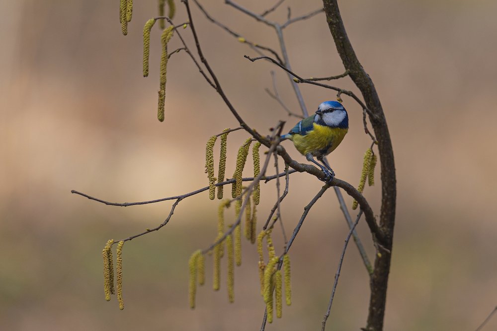 Photograph by Кунин Илья