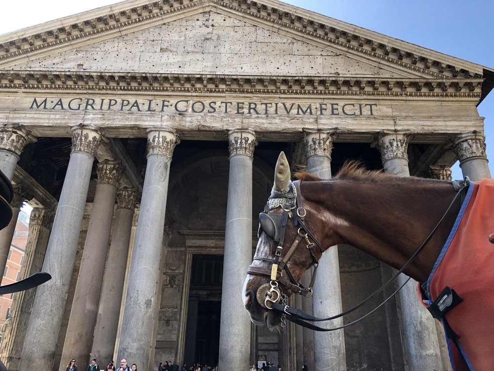 Фотография автора Roman Polisnichenko