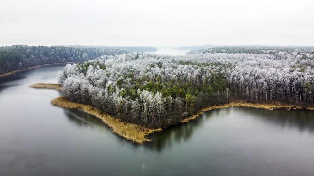 Фотография автора Евгений Глембоцкий