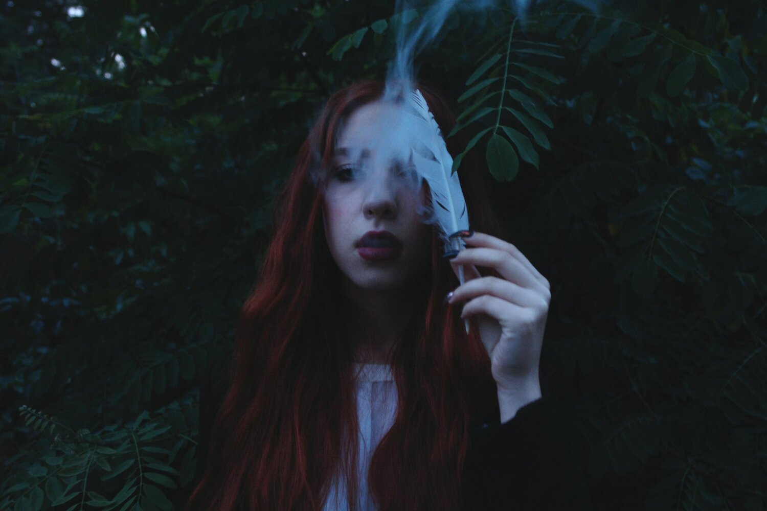 Photo #4466760
