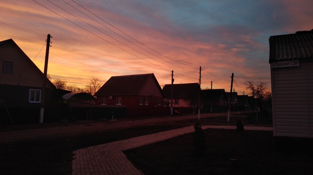 Photo #4466792