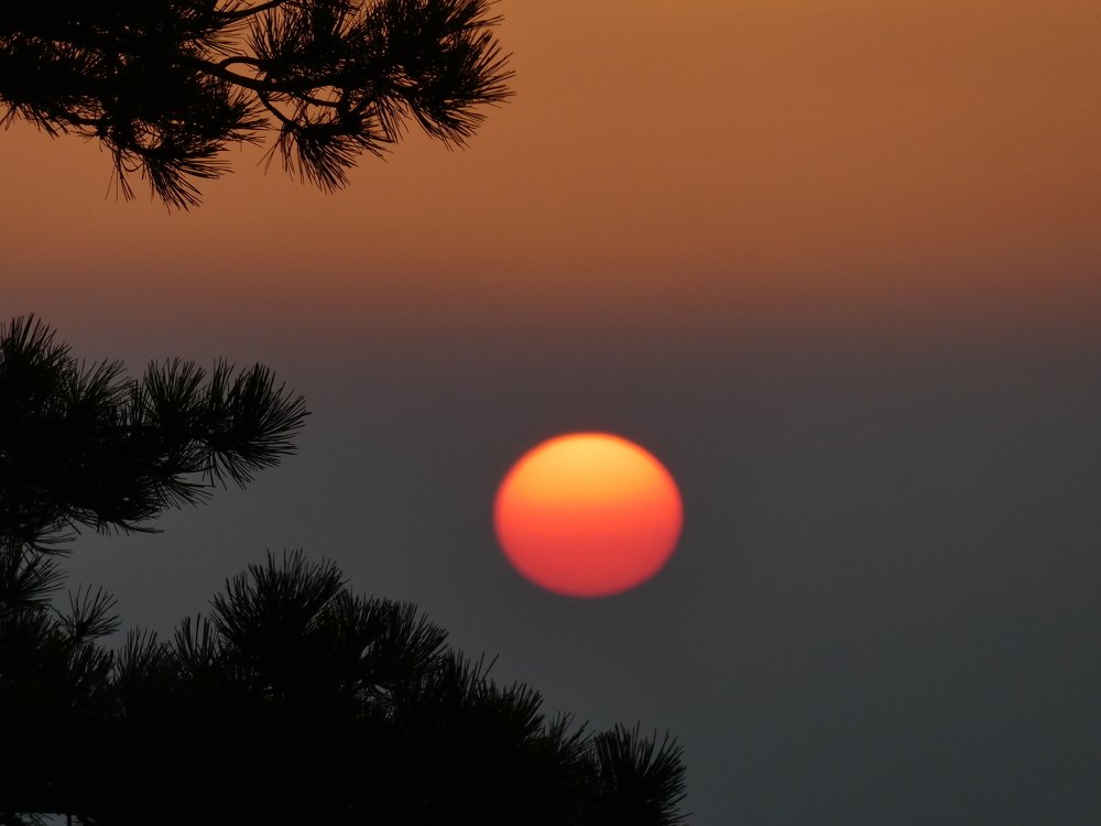 Photograph by Davorin Jurković