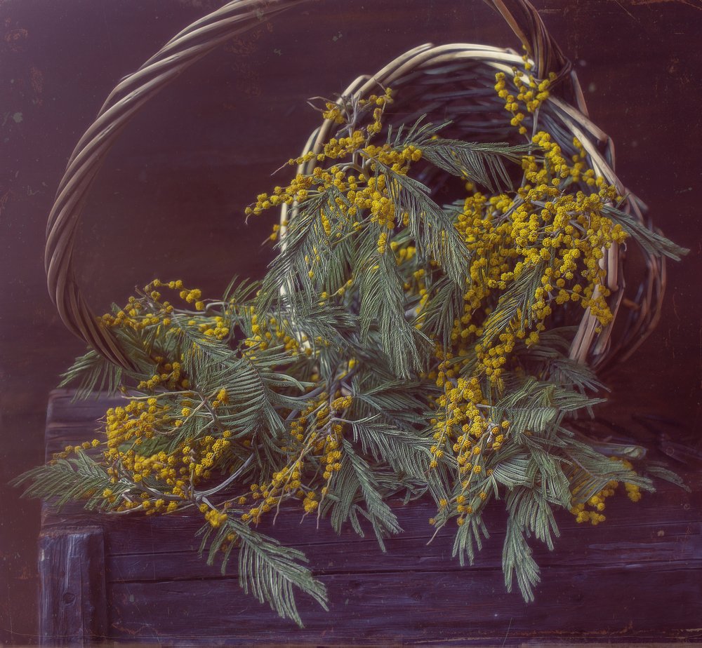 Photograph by Svoboda Andreeva