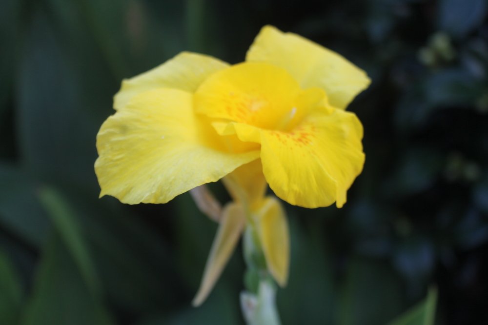 Photograph by João Ferreira