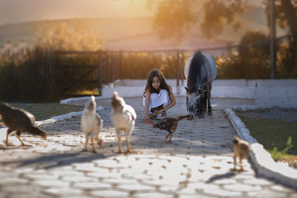 Фотография автора Meg Leite