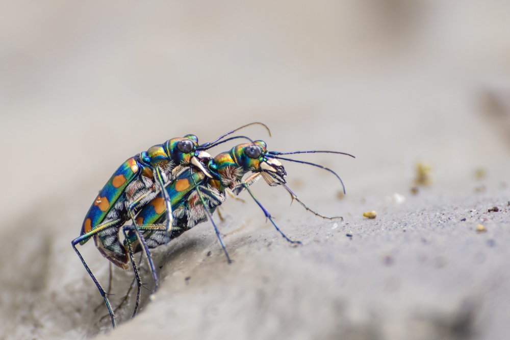 Photograph by saikat chanda