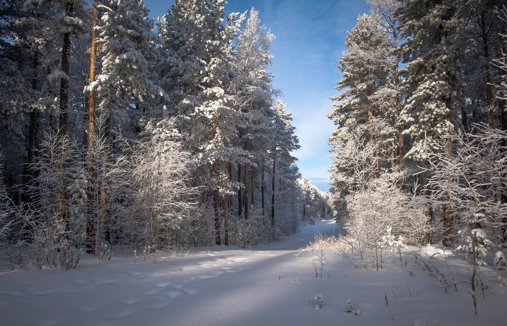 Photograph by Леонов Михаил