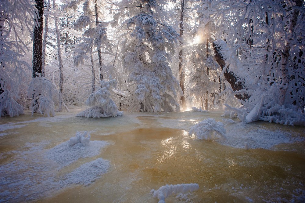 Photograph by Леонов Михаил