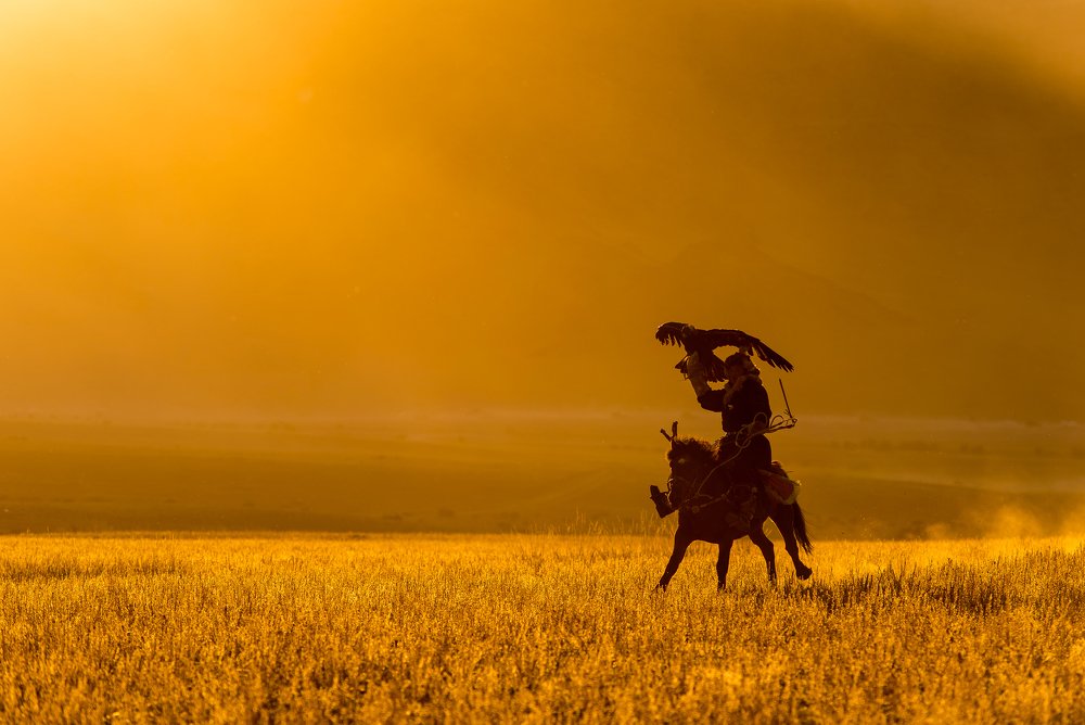 Mongolian eagle hunter