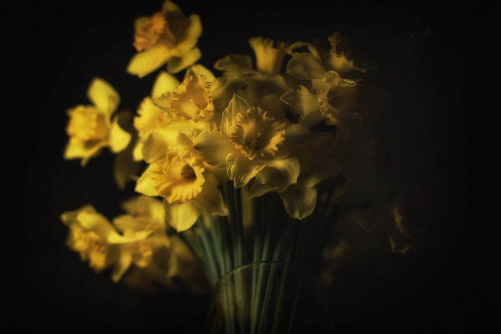 Photograph by Евгения Калашникова