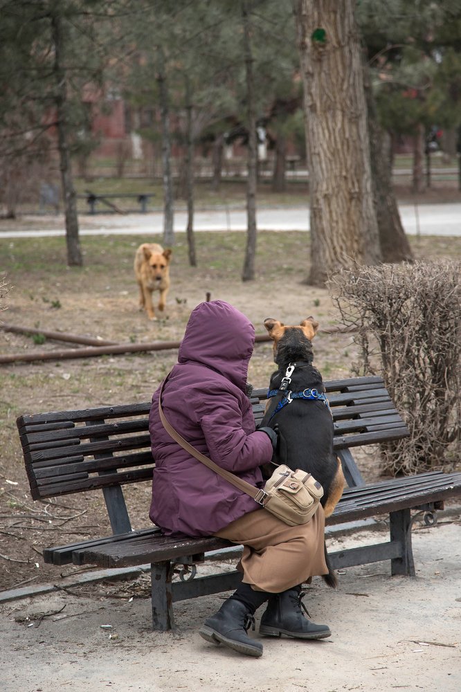 Photograph by Евгения Калашникова