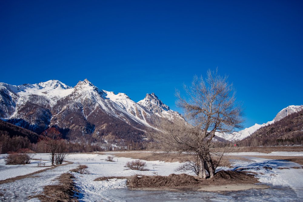 Photograph by Светлана Демина