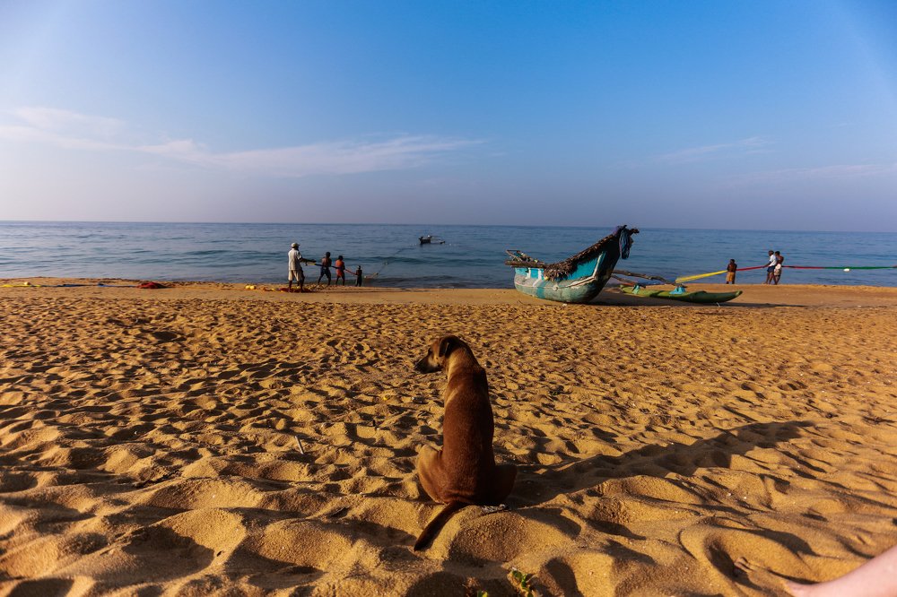 Фотография автора Надежда Саблина