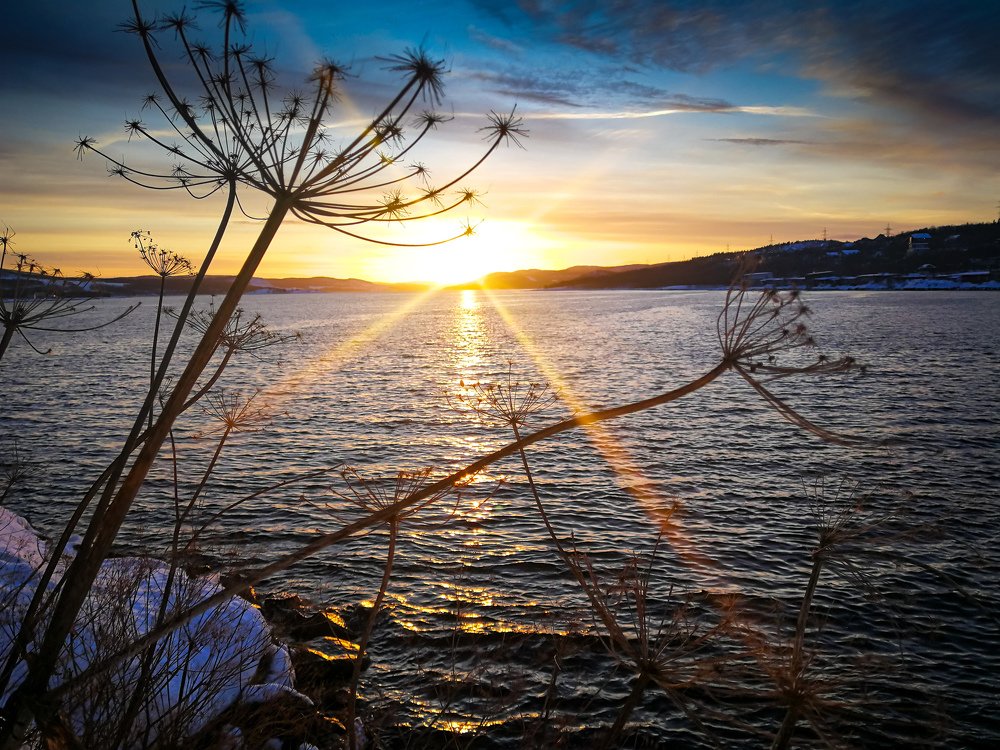 Photo #4467483