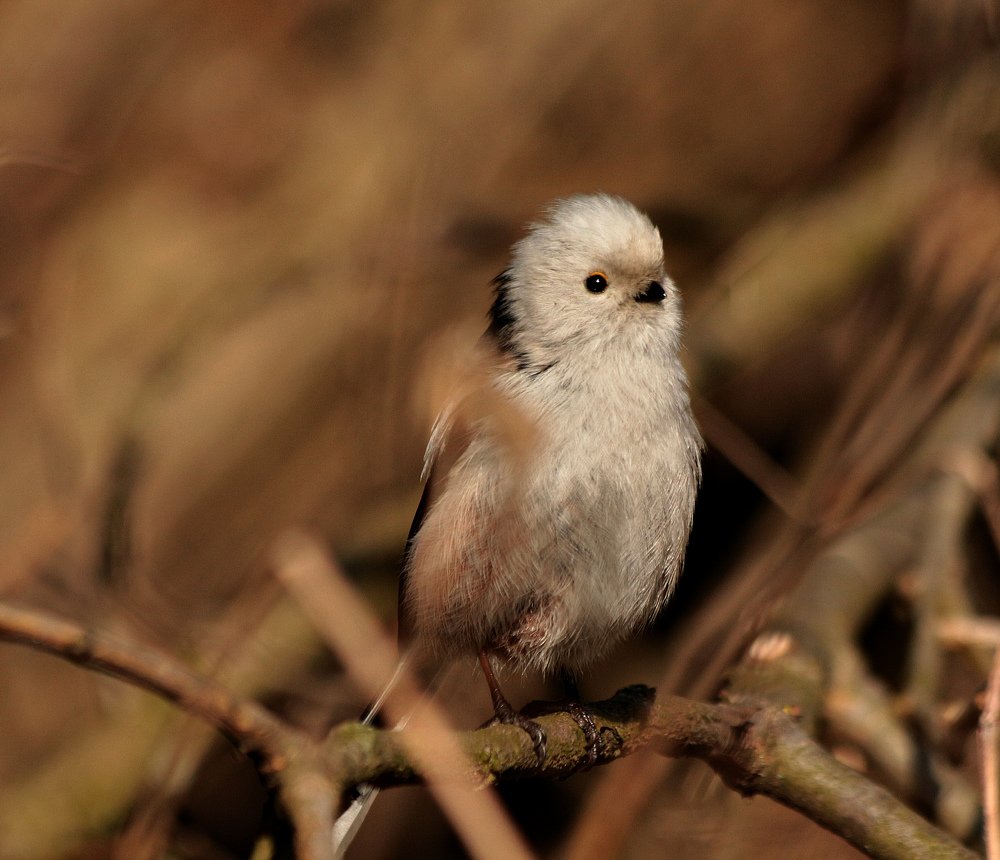 Photograph by Киселева Инесса