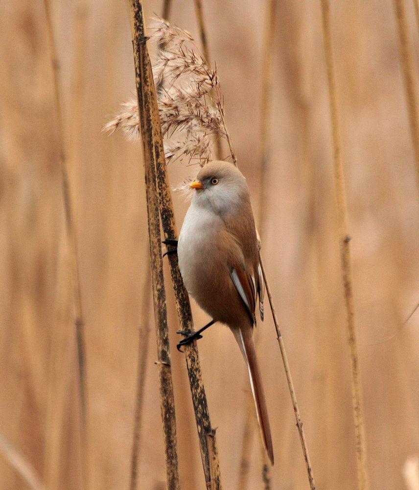 Photograph by Киселева Инесса