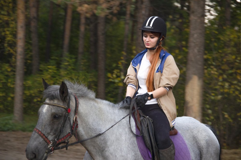 Photograph by Андрей Шрайнер