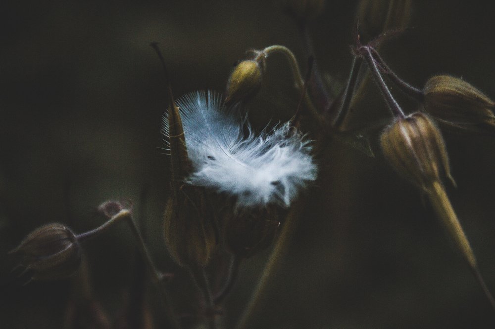 Photograph by Александр Шульга