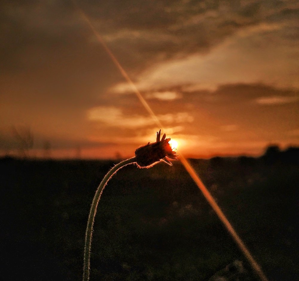 Фотография автора Ramprasad Das
