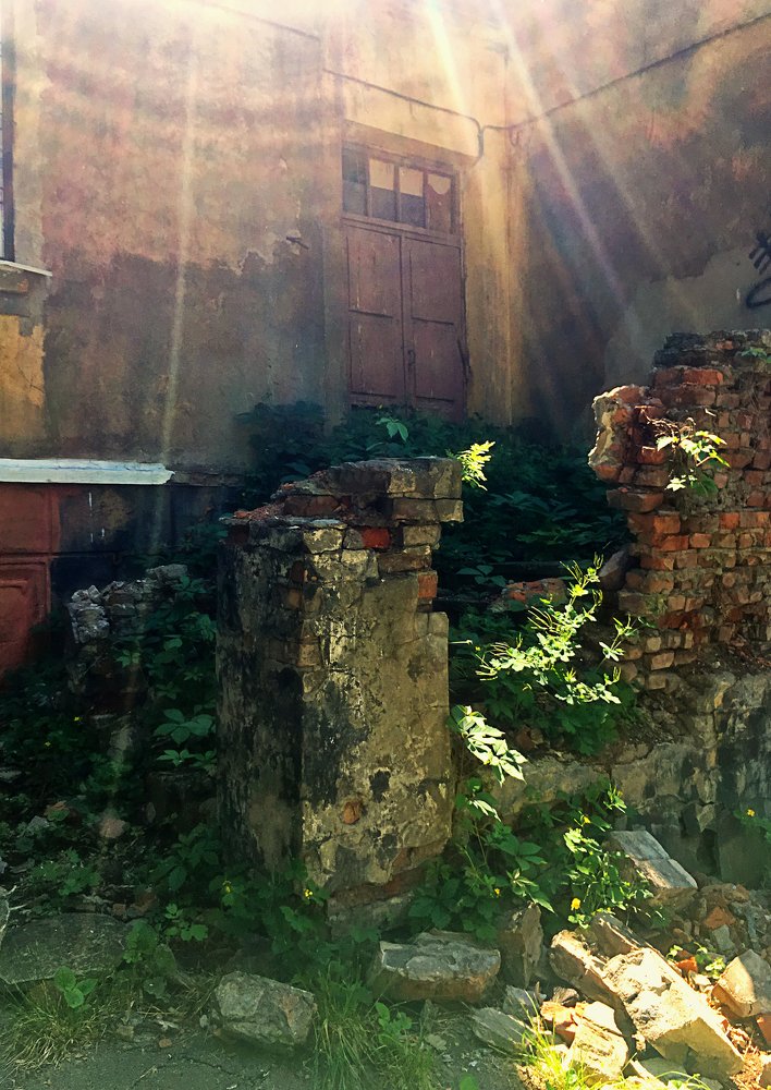 The Door into Summer