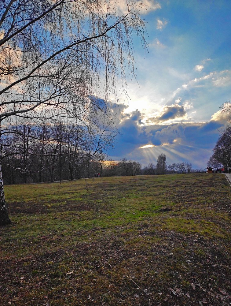 Фотография автора Вера Бокарева