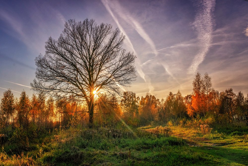 Photograph by Светлана Медведева