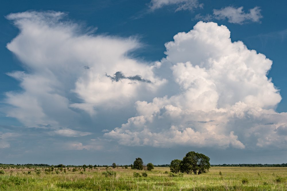 Дневная конвекция