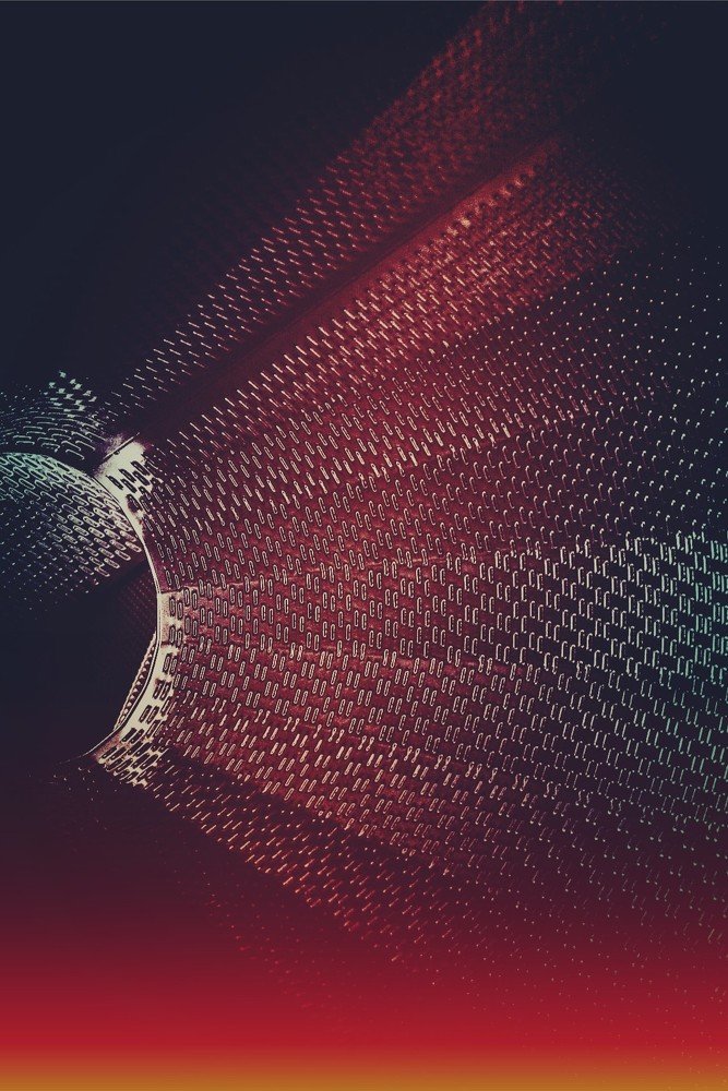 Photograph by TATYANA