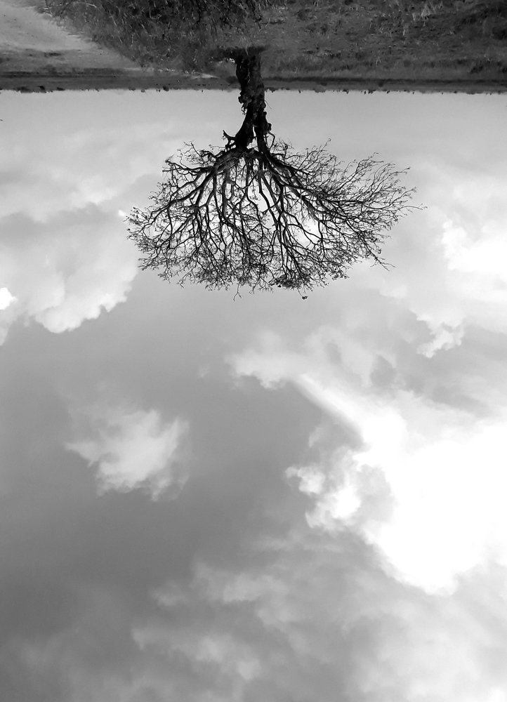 Фотография автора Sathveegan Sathveegan