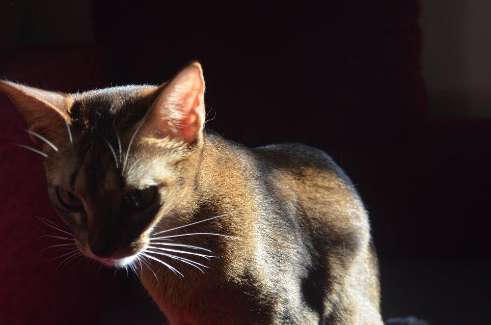 Photograph by Андрей Постников