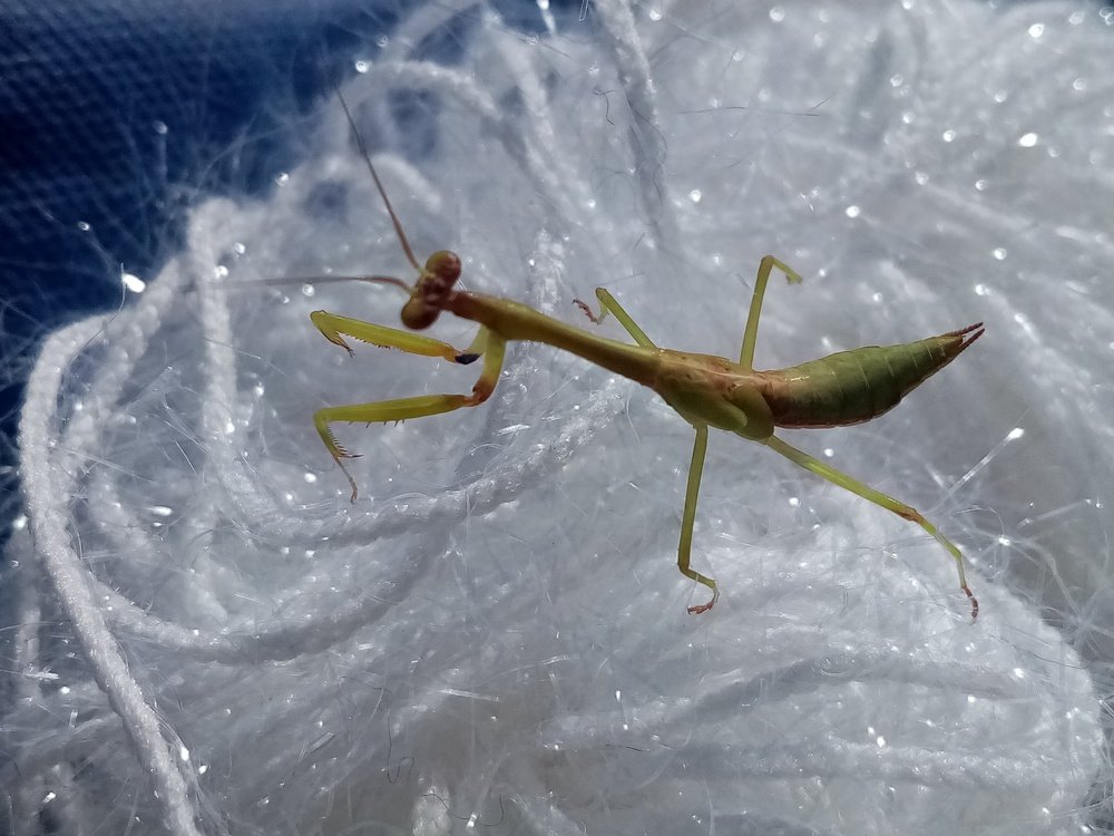 Photograph by Irene Gordillo