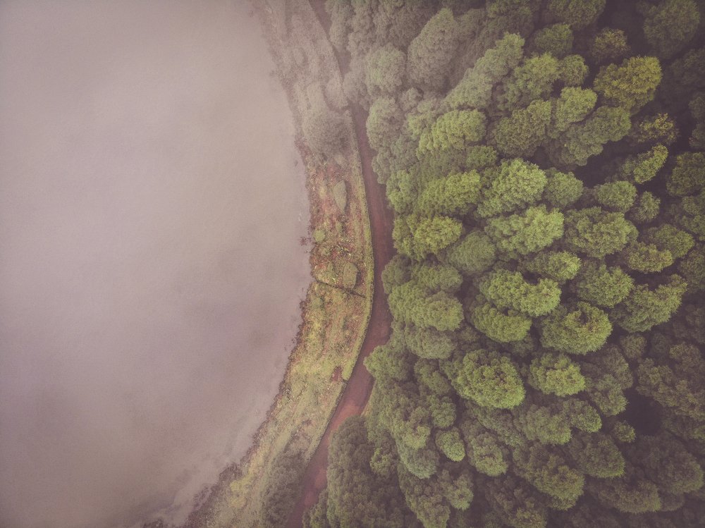 Photograph by Sérgio Madeira