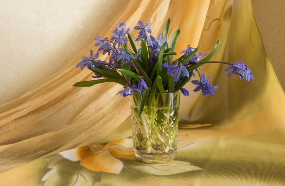 Хрупкий букет 2