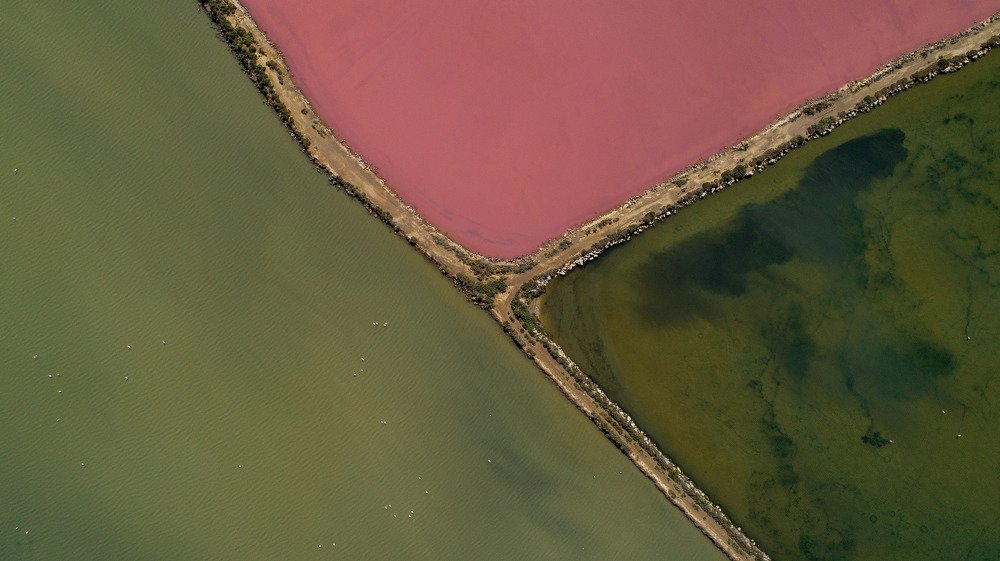 Photograph by Sérgio Madeira