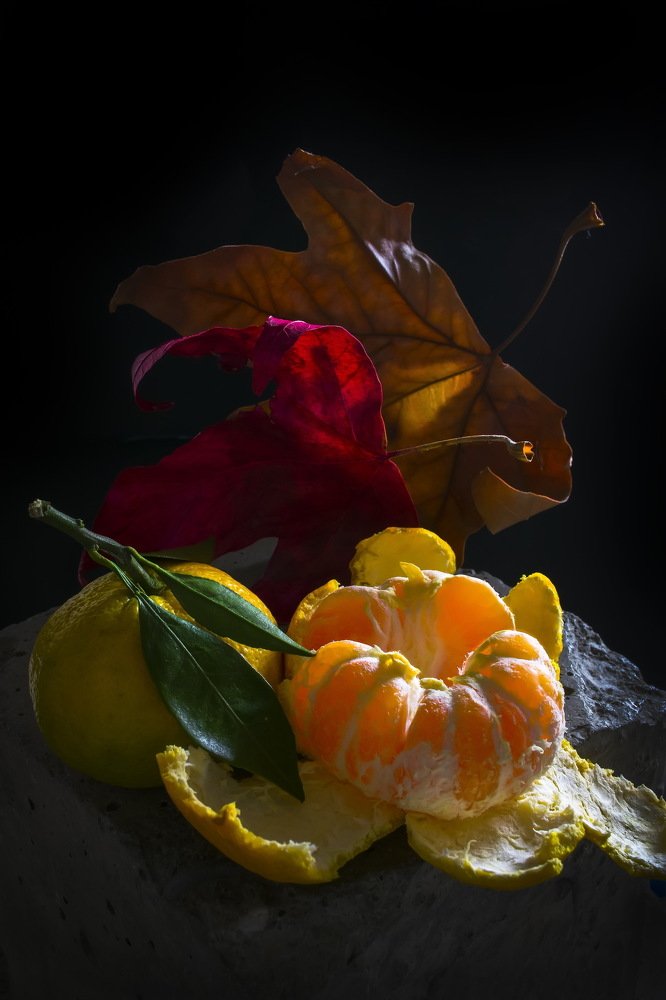 В начале ноября.