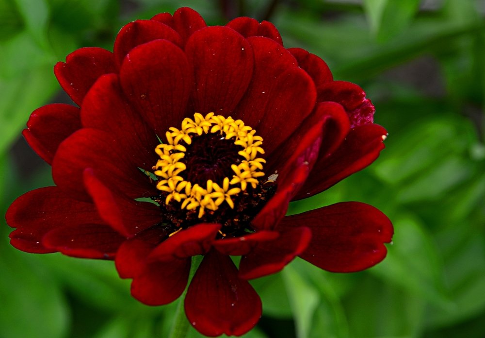 Photograph by Алексей Епишин