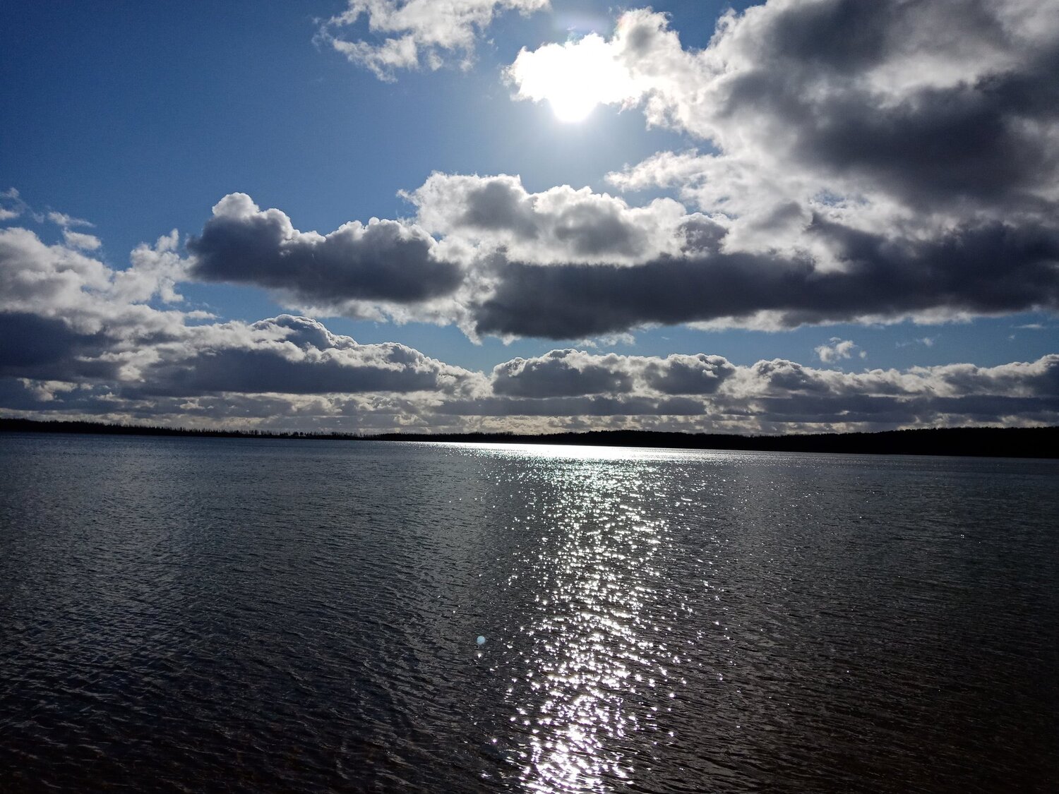Photo #4468423